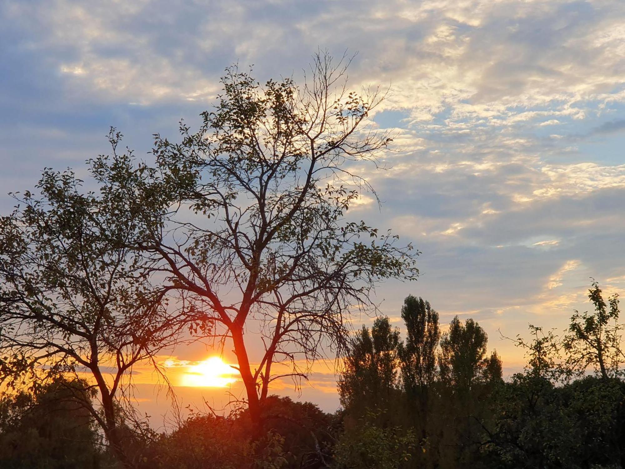 Weinhof Reichmann Bed and Breakfast Sankt Peter am Ottersbach Εξωτερικό φωτογραφία