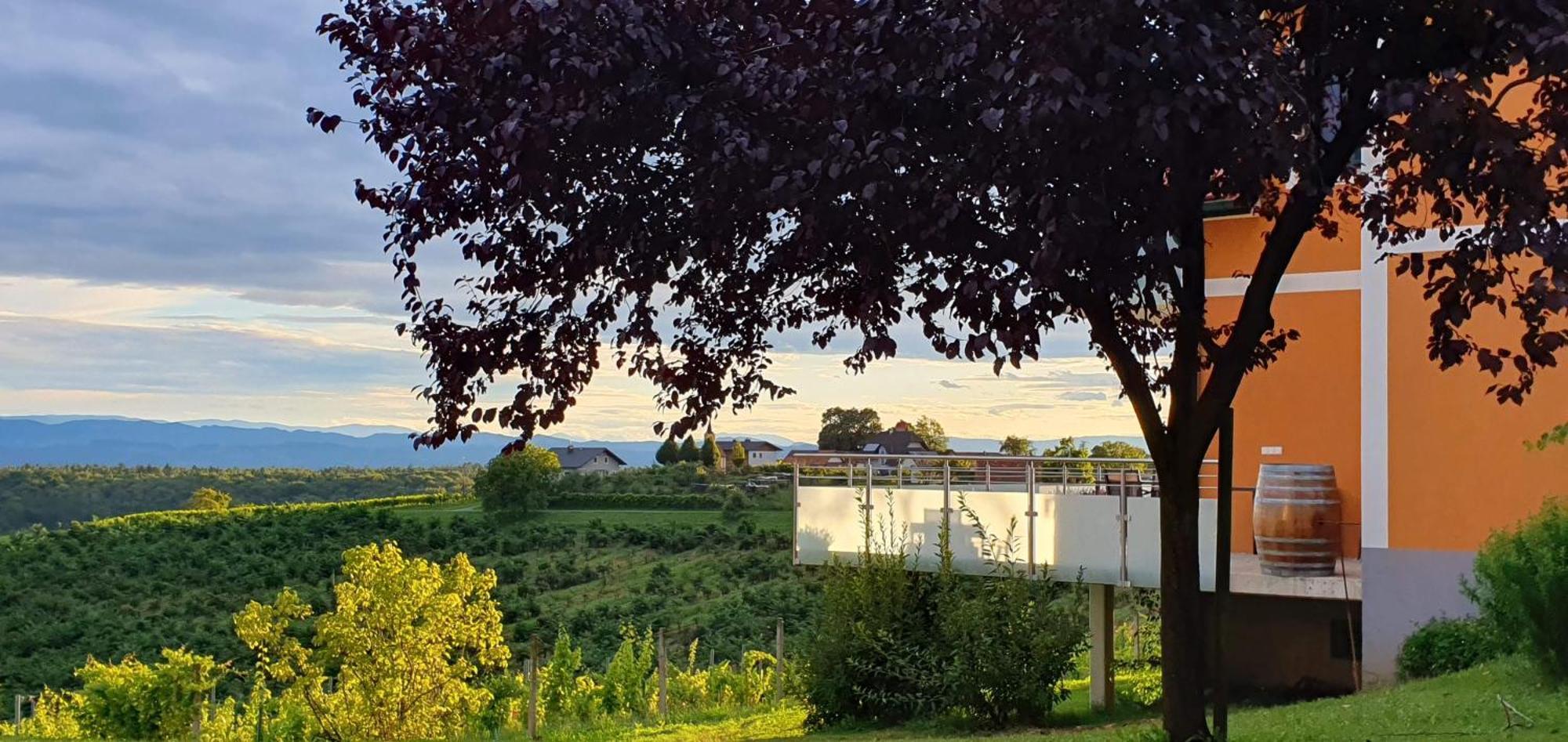 Weinhof Reichmann Bed and Breakfast Sankt Peter am Ottersbach Εξωτερικό φωτογραφία