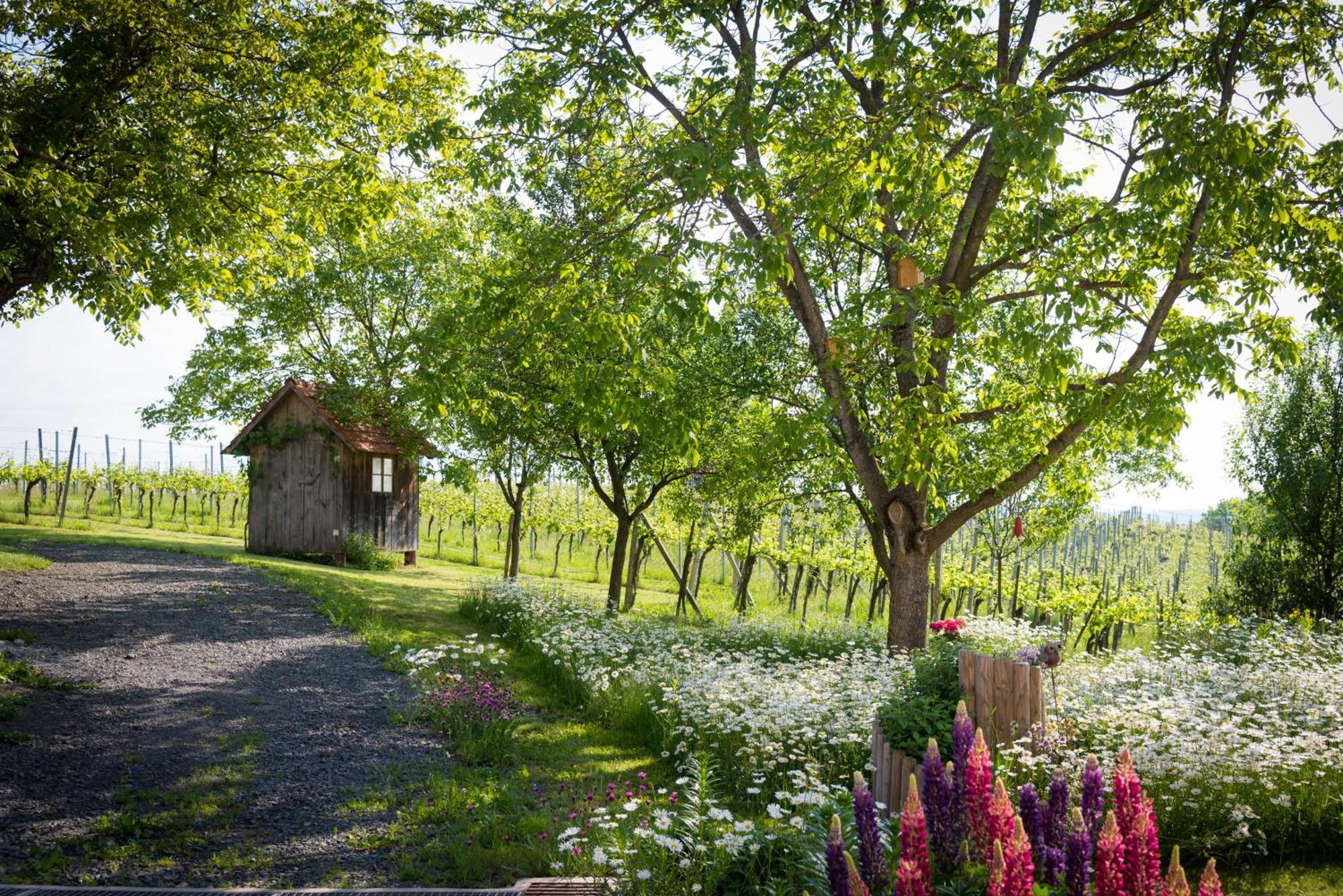 Weinhof Reichmann Bed and Breakfast Sankt Peter am Ottersbach Εξωτερικό φωτογραφία